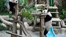 Panda betina Sheng Yi (kiri) bermain dengan ibunya Feng Yi (kanan) di dalam kandang panda di Kebun Binatang Nasional di Kuala Lumpur pada 25 Mei 2022. Setelah hampir setahun dilahirkan, anak ketiga pasangan panda gergasi Xing Xing dan Liang Liang dari China akhirnya diberikan nama - Sheng Yi yaitu keamanan dan persahabatan. (AFP/Mohd Rasfan)