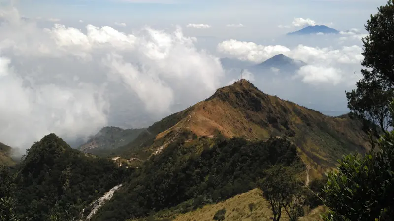 Merbabu