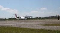 Bikin Bergidik, Hama Belalang Penuhi Landasan Bandara Umbu Mehang Kunda