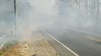Puluhan hektare hutan jati di Kecamatan Sambong, Kabupaten Blora, Jawa Tengah terbakar. Akibatnya asap tebal mengganggu pengguna jalan yang melintas kawasan tersebut. (Liputan6.com/ Ahmad  Adirin)
