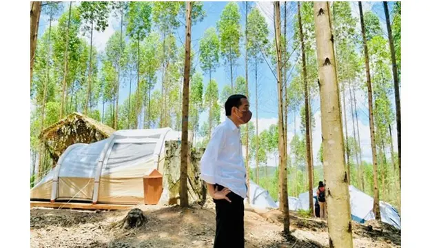 8 Potret Jokowi dan Para Menteri Kemah di Titik 0 Km IKN, Gunakan Tenda Sederhana