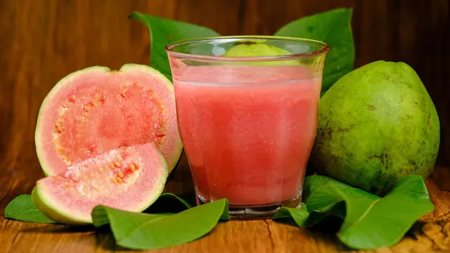 ilustrasi tanaman herbal/Rembolle/shutterstock