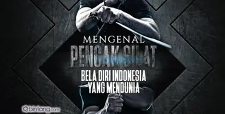 Mengenal Pencak Silat, Bela Diri Indonesia yang Mendunia