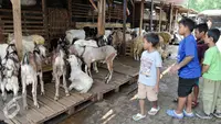 Human Initiative Dorong Lebih Banyak Penerima Manfaat Qurban pada 2026