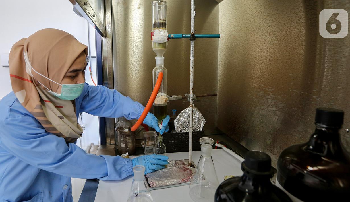 FOTO Peneliti LIPI Temukan Daun untuk Menghambat Virus 