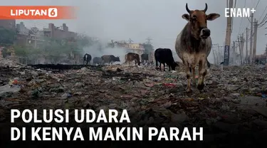 Di Kenya, asap beracun dari tempat pembuangan sampah dan lalu lintas disalahkan sebagai penyebab masalah pernapasan di tempat pembuangan sampah Dandora di Nairobi.