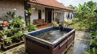 8 Cara Membuat Kolam Lele Hemat Tempat dengan Memanfaatkan Kandang Bekas