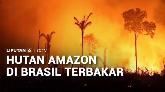 Hutan Amazon di Brasil Terbakar