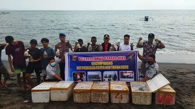 KKP bersama Ditpolairud Polda Nusa Tenggara Barat (NTB), menyita 357 karang hias yang hendak diselundupkan dari Pelabuhan Penyeberangan Lembar - Padang Bai. (Dok. KKP)