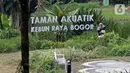 Pengunjung mengambil gambar saat di Kebun Raya Bogor, Jawa Barat, Selasa (7/7/2020). Kebun Raya Bogor dan Kebun Raya Cibodas kembali dibuka untuk umum dengan protokol kesehatan pencegahan penyebaran pandemi COVID-19. (Liputan6.com/Herman Zakharia)