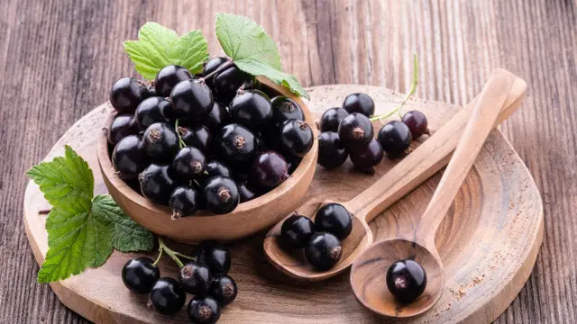 Meningkatkan Kekebalan Tubuh