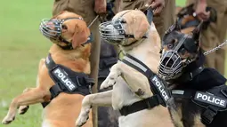 Anjing polisi siap melakukan atraksi saat demonstrasi perayaan ulang tahun polisi Sri Lanka ke-151 di Kolombo (7/9). (AFP Photo/Lakruwan Wanniarachchi)