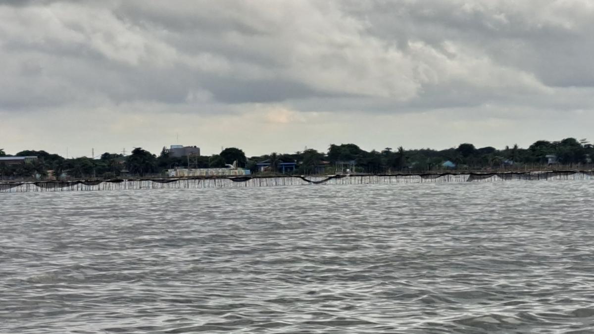 Misteri Pagar Laut Sepanjang 30 Km, Siapa Bertanggung Jawab?