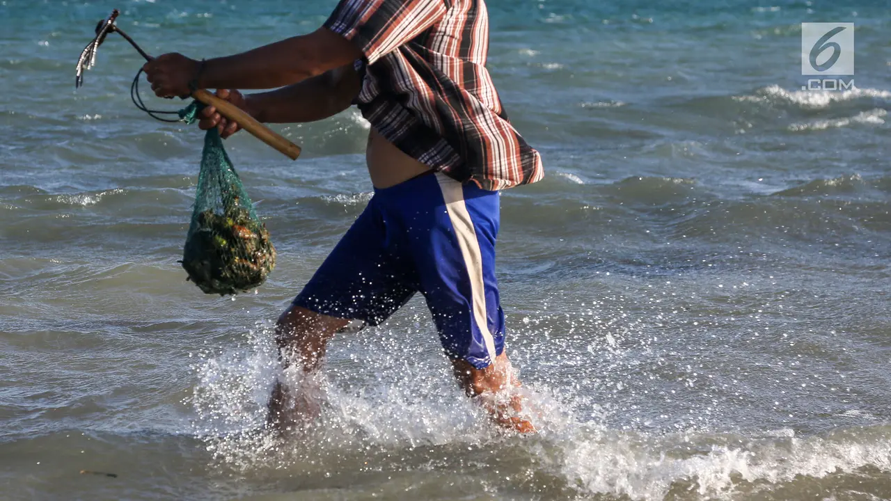 Pencari Kerang di Pesisir Pantai Pulau Pasir