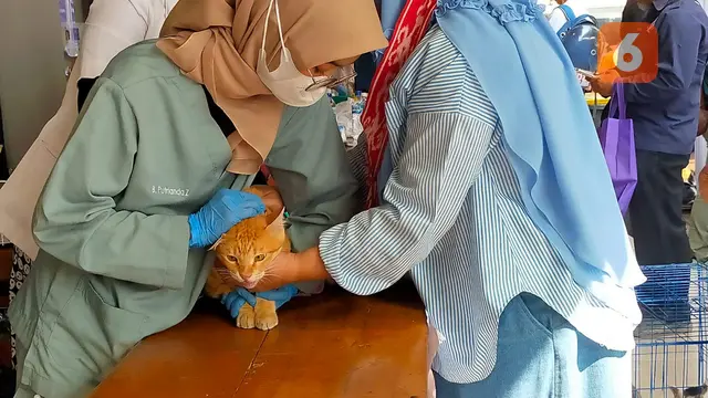 Para pecinta hewan saat memanfaatkan layanan pemeriksaan kesehatan hewan gratis di Kota Sukabumi (Liputan6.com/Istimewa).