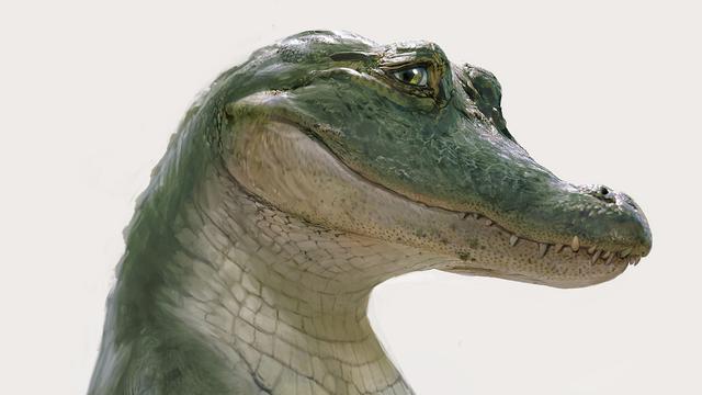 Shawn Mendes mengisi suara Lyle dalam film Lyle Lyle Crocodile. (Foto: Dok. Columbia Pictures)