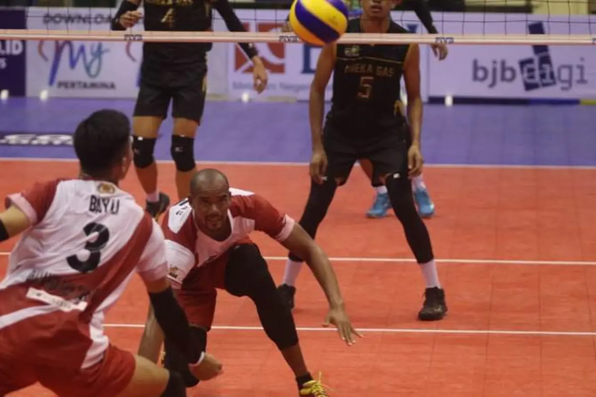 Proliga 2019