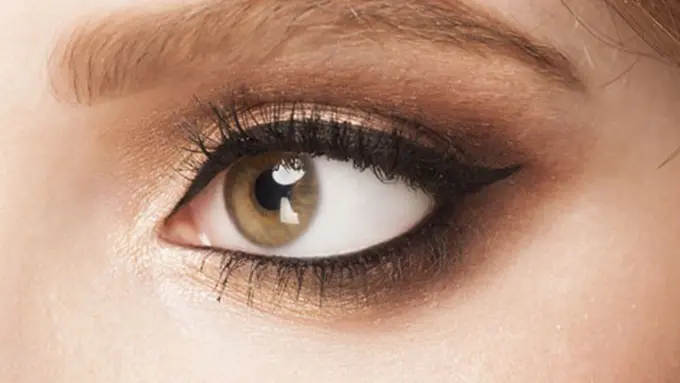 Copyright by Shutterstock.com