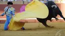 Dengan menggunakan jubahnya, seorang matador berhasil mengecoh banteng yang sedang menyerangnya di arena adu banteng, Maestranza, Sevilla, Senin (5/5/2014) (AFP Photo/Gogo Lobato).