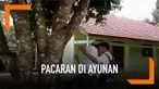 Ketika asik berpacaran sambil bermain ayunan, pasangan muda ini malah mengalami kejadian memalukan. Tali ayunan terputus sehingga membuat keduanya terjatuh.