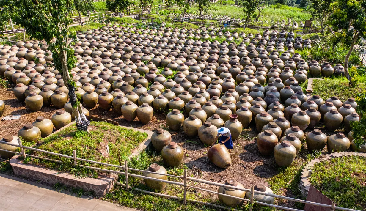 Foto dari udara yang diabadikan pada 26 Juni 2020 ini menunjukkan seorang pekerja mengeluarkan fermentasi biji-bijian dari kendi di sebuah pabrik pembuatan cuka di Chishui, Provinsi Guizhou, China barat daya. (Xinhua/Tao Liang)
