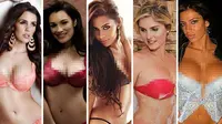 5 WAGs yang Pernah Bugil di Majalah Playboy (Liputan6.com/Sangaji)