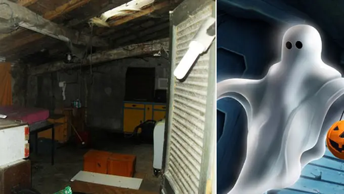 Foto: copyright odditycentral.com