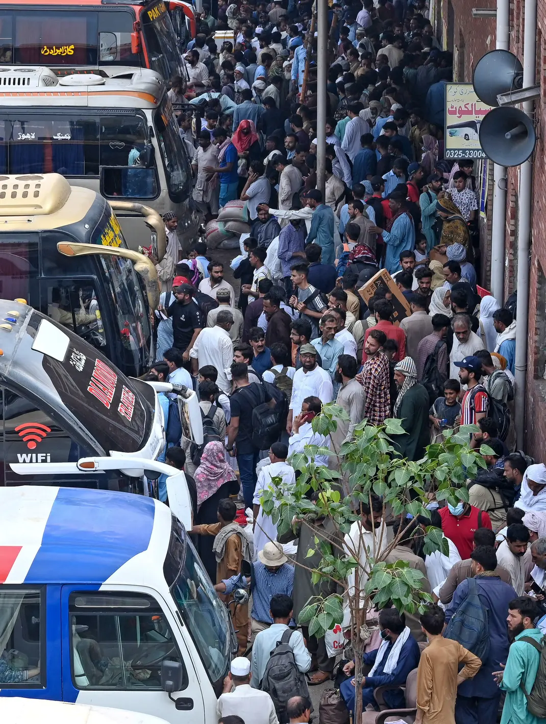 Suasana Mudik di Pakistan saat Idul Adha, Sampai Naik ke Atap Bus ...