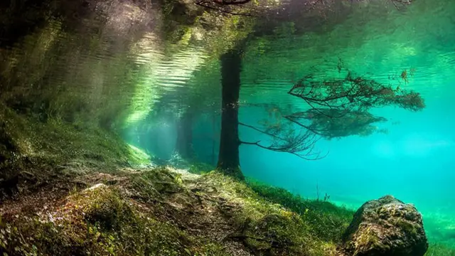 Keindahan Bawah Air Green Lake (sumber: earthlymission)