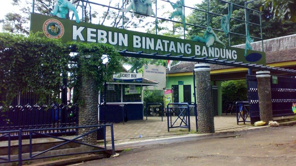 Polisi Tutup Bandung Zoo Usai Kisruh 2 Kubu Pengelola, Bagaimana Nasib Satwa?