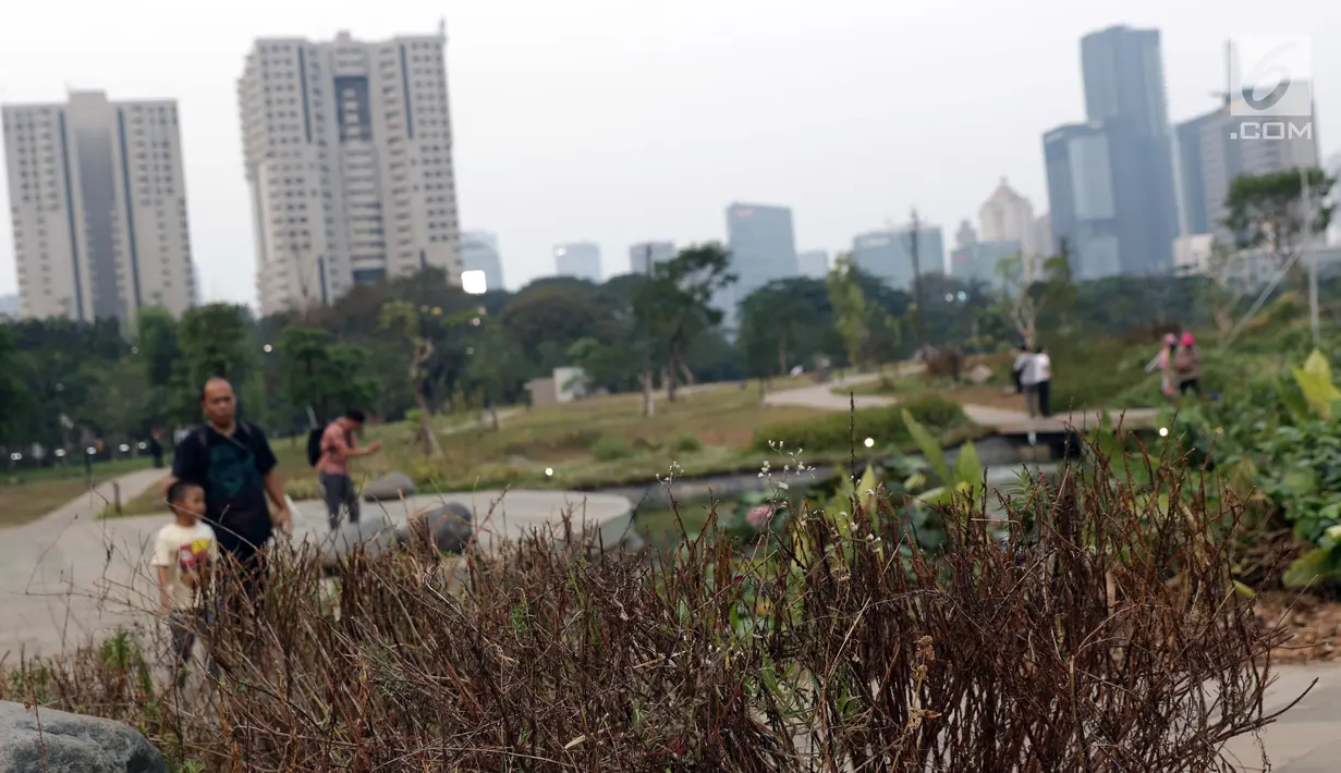 Kondisi tanaman yang ada di sekitar Hutan Kota GBK, Jakarta, Selasa (2/7/2019). Kurangnya perawatan berakibat rusaknya beberapa tanaman yang ada di area Hutan Kota GBK. (Liputan6.com/Helmi Fithriansyah)