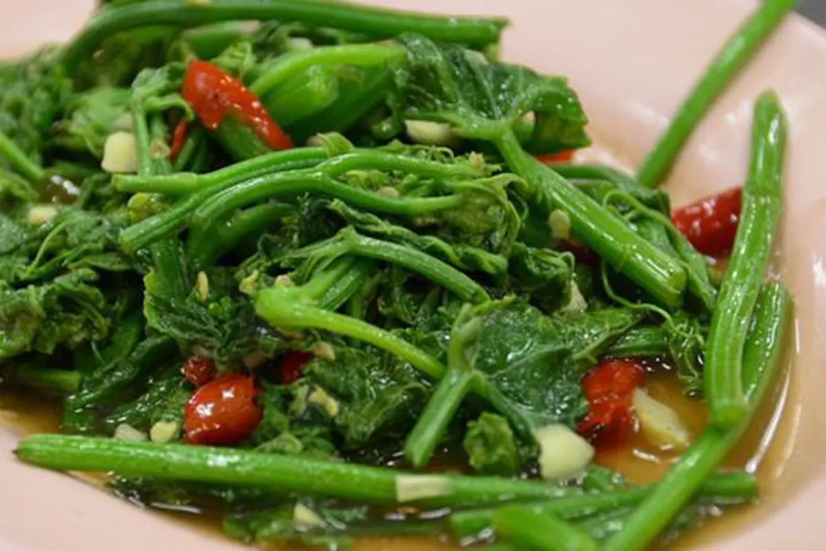 Resep tumis daun labu/copyright Flickr.com