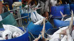 Nelayan menurunkan ikan hasil tangkapan laut di Muara Baru, Jakarta, Kamis (29/3). Untuk mendorong ekspor komoditas perikanan KKP akan memberikan bantuan alat penangkapan ikan yang ramah lingkungan. (Liputan6.com/Angga Yuniar)