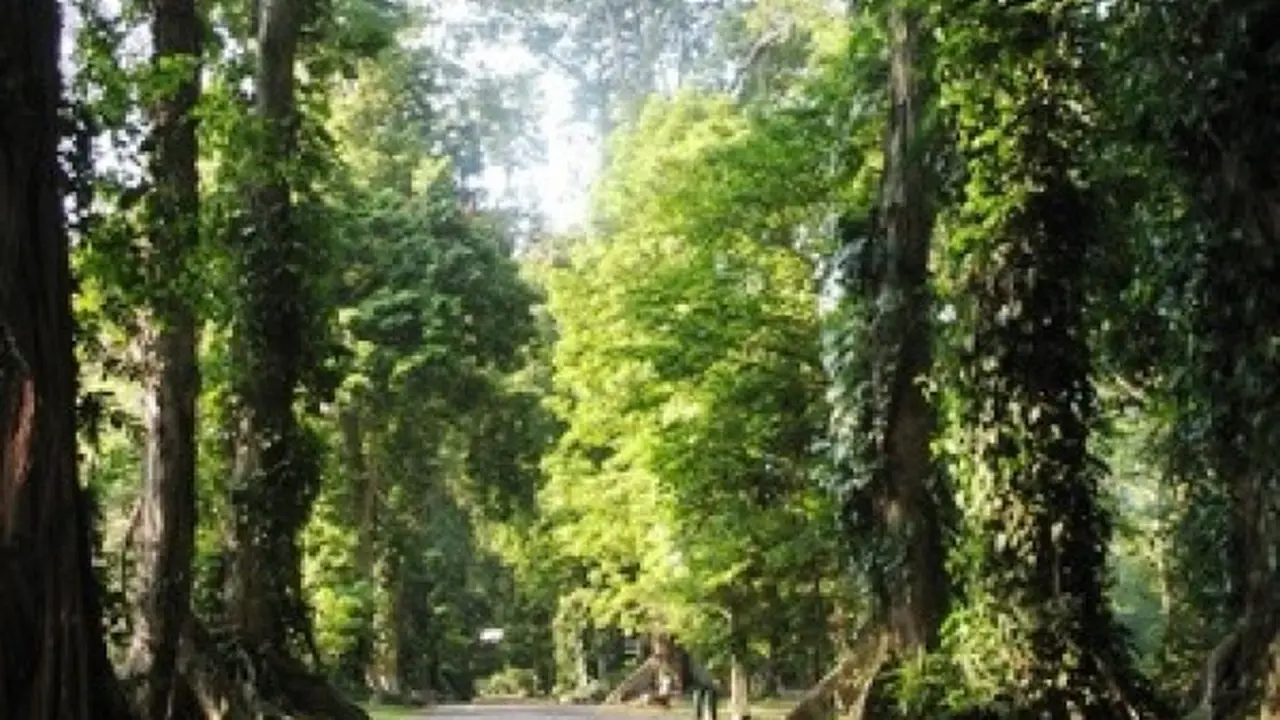 Kebun Raya Bogor