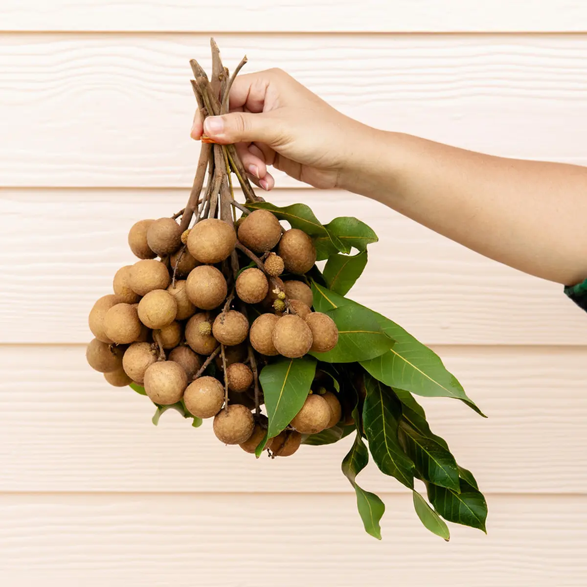 Manfaat Kelengkeng Untuk Kesehatan Tulang