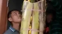 Warga Gorontalo memiliki tradisi menggantung setandan pisang di depan pintu mereka demi mendapat keberkahan. (Liputan6.com/Arfandi Ibrahim)