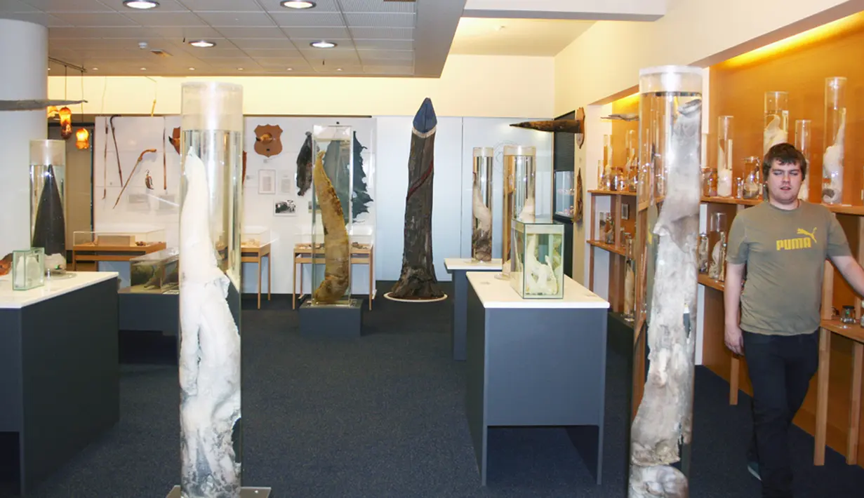 Satu-satunya museum di dunia yang berisikan koleksi spesimen phallic dari berbagai mamalia termasuk manusia. Phallic dapat dikatakan sebagai penis dalam kondisi ereksi ini bernama The Icelandic Phallological Museum di Islandia. (kepek.origo.hu)