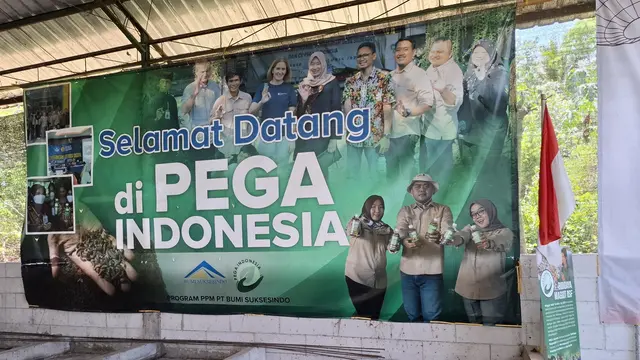 Pusat budidaya maggot di Pega Indonesia, Banyuwangi, Jawa Timur. (Foto: Liputan6.com/Agustina Melani)