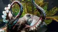 Mencari Kebebasan, Inky si Gurita Kabur dari Akuarium  (National Aquarium New Zealand)
