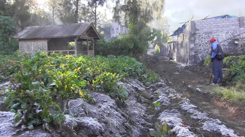 Suhu Ekstrem Gunung Semeru