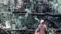 Seorang perempuan mendapati jalan tertutup pohon tumbang di London 16 Oktober 1987. Pada tahun ini, peringatan 30 tahun Badai Ophelia diperkirakan akan kembali menghantam Irlandia dan Azores (AP)