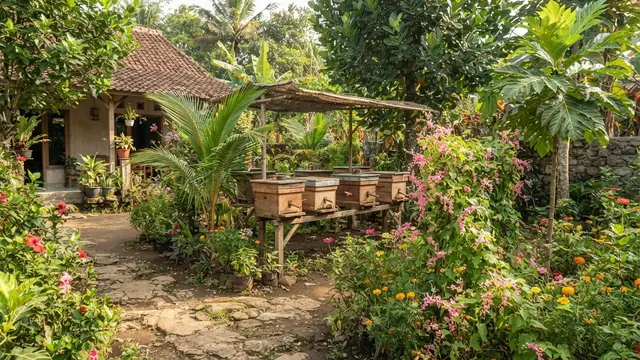 Cara Ternak Lebah Klanceng di Halaman Rumah, Panen Madu Tanpa Sengat