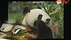 liputan6