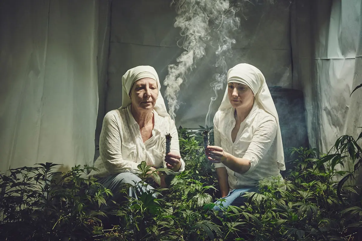 Sembuhkan Dunia, Biarawati di California Sengaja Budidaya Ganja