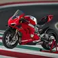 Ducati Panigale V4R. (Visordown)