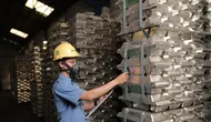 Pemerintah Bentuk Tim Khusus, PT Timah Bisa Beli Produksi Masyarakat Lokal
