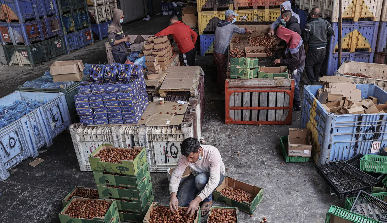 Beberapa varietas kurma kualitas tinggi jumlahnya bahkan terbatas di pasaran. (AFP/Said Khatib)