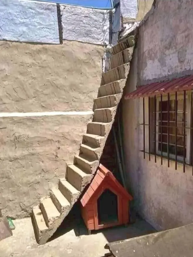 8 Potret Desain Tangga Ini Unik Banget, Bikin Deg-Degan