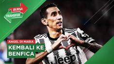Berita Video, kepastian Angel Di Maria yang memastikan diri untuk kembali ke Benfica