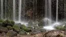 Tanah yang mengeluarkan air dari tanah membentuk air terjun bagai ratusan benang putih, inilah alasan dinamakan shiraito (benang putih). Air terjun yang indah ini sangatlah sejuk dan sangat digemari khususnya pada musim panas.  (AFP/Richard A. Brooks)